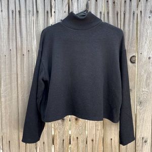 Zara Turtleneck Sweater
